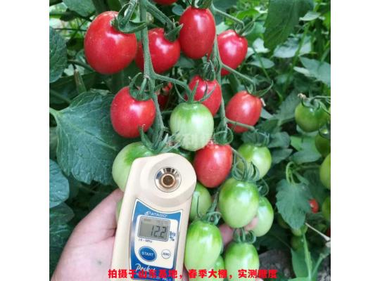 櫻桃蜜