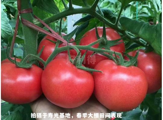 元帥