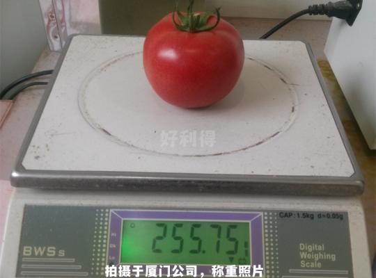 元帥