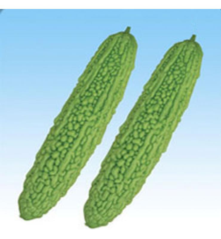 苦瓜 碧華